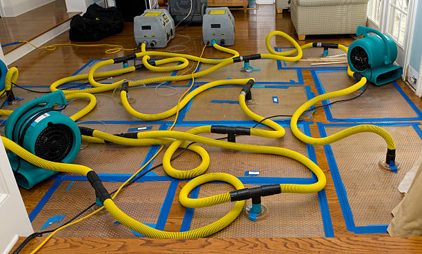 Professional Crawl Space Water Removal technician working in Ripley, MS